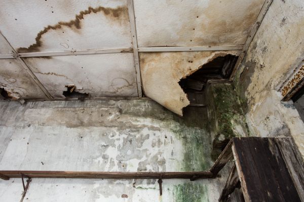 Water Damage Service in West Bend