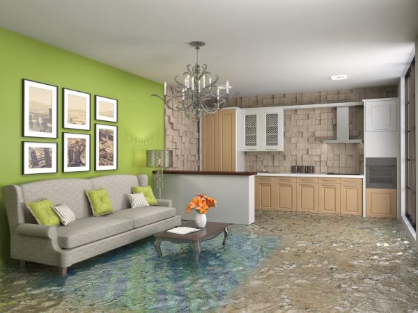 Wet Carpet Drying in West Bend