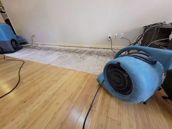 Cost of Water Damage Mitigation in West Bend