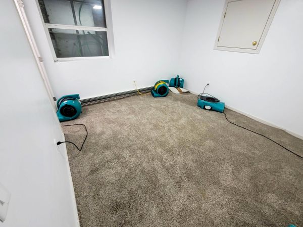 Flood Restoration Service in West Bend