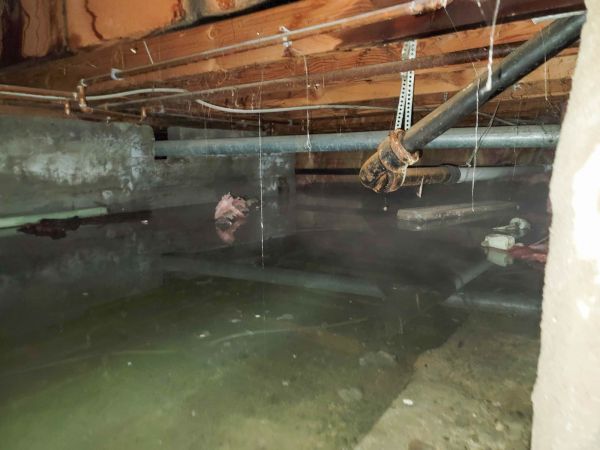 Water Mitigation Service in West Bend