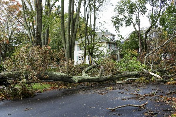 Tornado Damage Repair in West Bend